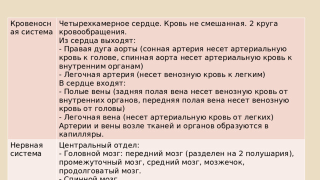 Кровеносная система Четырехкамерное сердце. Кровь не смешанная. 2 круга кровообращения. Нервная система Из сердца выходят: Центральный отдел: - Правая дуга аорты (сонная артерия несет артериальную кровь к голове, спинная аорта несет артериальную кровь к внутренним органам) - Головной мозг: передний мозг (разделен на 2 полушария), промежуточный мозг, средний мозг, мозжечок, продолговатый мозг. - Легочная артерия (несет венозную кровь к легким) - Спинной мозг В сердце входят: Периферический отдел: нервы - Полые вены (задняя полая вена несет венозную кровь от внутренних органов, передняя полая вена несет венозную кровь от головы) - Легочная вена (несет артериальную кровь от легких) Артерии и вены возле тканей и органов образуются в капилляры. 