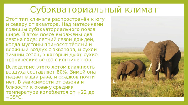 Субэкваториальный климат Этот тип климата распространён к югу и северу от экватора. Над материками границы субэкваториального пояса шире. В этом поясе выражены два сезона года: летний сезон дождей, когда муссоны приносят тёплый и влажный воздух с экватора, и сухой зимний сезон, в который дуют сухие тропические ветра с континентов. Вследствие этого летом влажность воздуха составляет 80%. Зимой она падает в два раза, и осадков почти нет. В зависимости от сезона и близости к океану средняя температура колеблется от +22 до +35°С. 