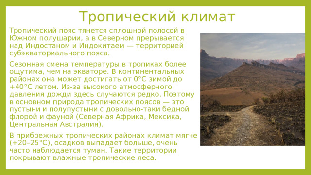 Тропический климат Тропический пояс тянется сплошной полосой в Южном полушарии, а в Северном прерывается над Индостаном и Индокитаем — территорией субэкваториального пояса. Сезонная смена температуры в тропиках более ощутима, чем на экваторе. В континентальных районах она может достигать от 0°С зимой до +40°С летом. Из-за высокого атмосферного давления дожди здесь случаются редко. Поэтому в основном природа тропических поясов — это пустыни и полупустыни с довольно-таки бедной флорой и фауной (Северная Африка, Мексика, Центральная Австралия). В прибрежных тропических районах климат мягче (+20–25°С), осадков выпадает больше, очень часто наблюдается туман. Такие территории покрывают влажные тропические леса. 