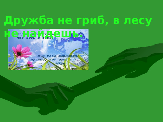 Дружба не гриб, в лесу не найдешь. 2 