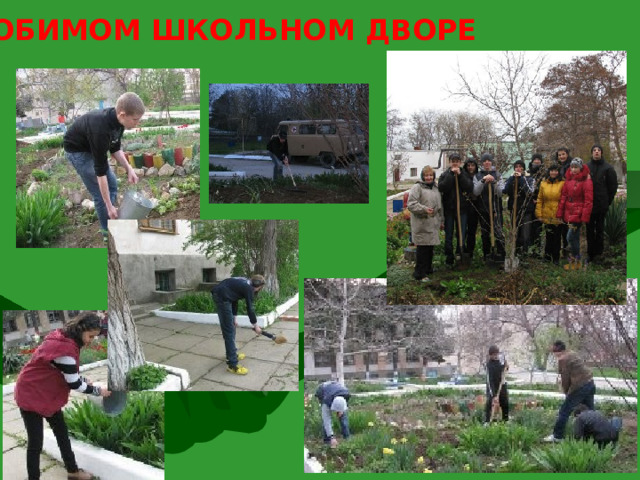 В ЛЮБИМОМ ШКОЛЬНОМ ДВОРЕ 8 
