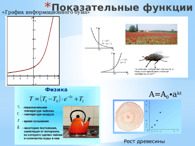Показательные функции «График информационного бума» A=A 0 ∙a kt Рост древесины 