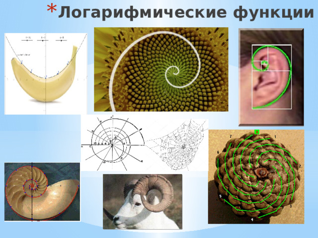 Логарифмические функции 