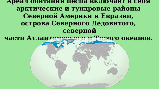 Ареал обитания песца включает в себя   арктические и тундровые районы   Северной Америки и Евразии,   острова Северного Ледовитого,  северной части Атлантического и Тихого океанов.  