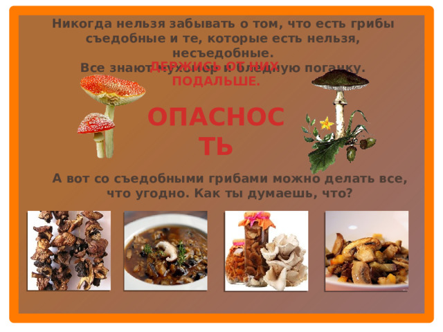 Никогда нельзя забывать о том, что есть грибы съедобные и те, которые есть нельзя, несъедобные. Все знают мухомор и бледную поганку. ДЕРЖИСЬ ОТ НИХ  ПОДАЛЬШЕ.   ОПАСНОСТЬ А вот со съедобными грибами можно делать все, что угодно. Как ты думаешь, что?  