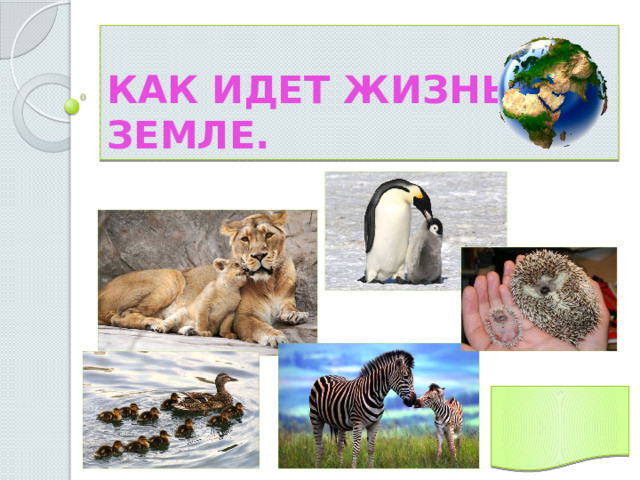 Как идет жизнь на Земле. 