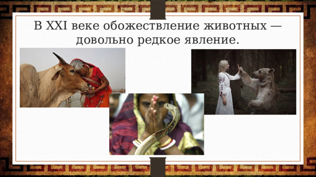 В XXI веке обожествление животных — довольно редкое явление. 