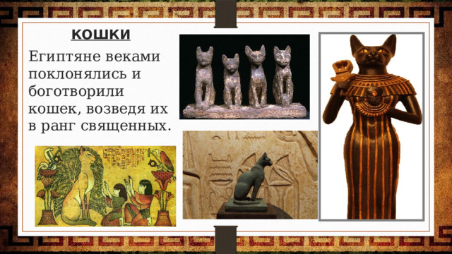 КОШКИ Египтяне веками поклонялись и боготворили кошек, возведя их в ранг священных. 