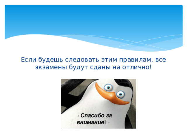 Если будешь следовать этим правилам, все экзамены будут сданы на отлично! 