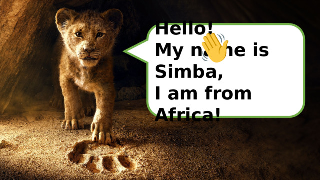 Hello! My name is Simba, I am from Africa! 