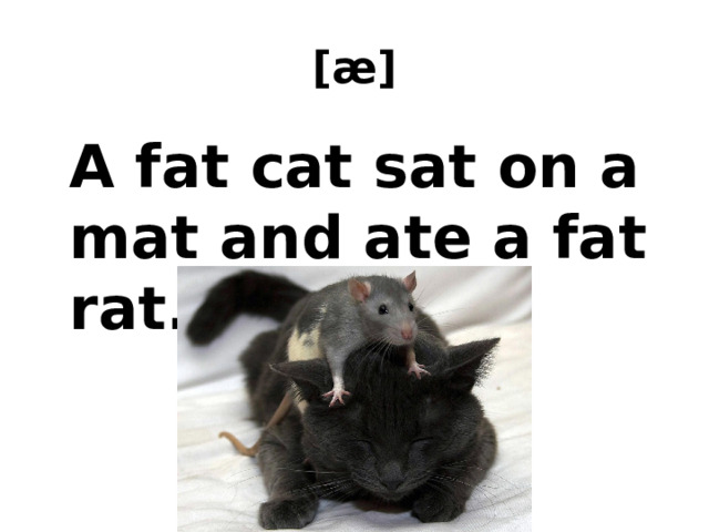 [æ]  A fat cat sat on a mat and ate a fat rat. 