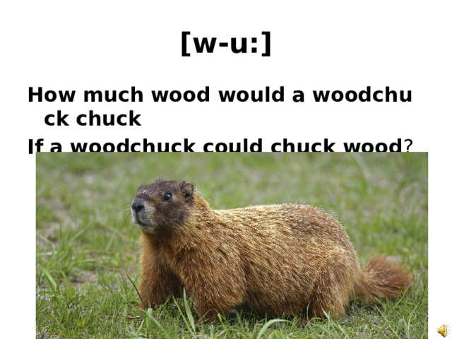 [w-u:] How   much   wood   would   a   woodchuck   chuck If   a   woodchuck   could   chuck   wood ? 