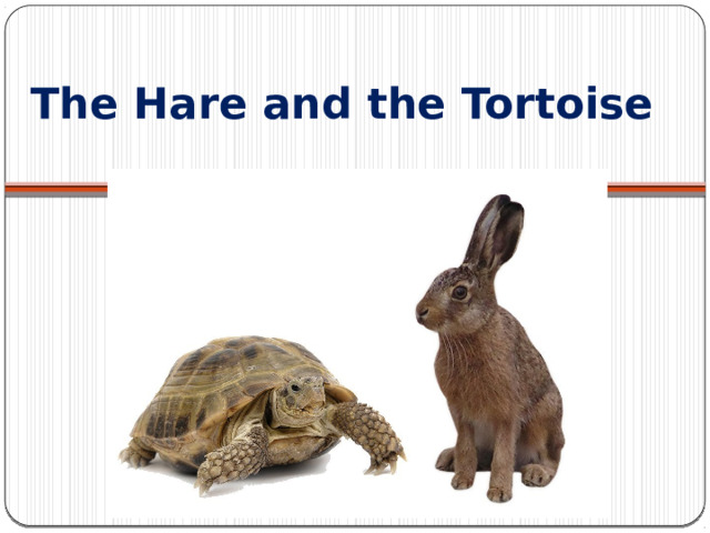 The Hare and the Tortoise 
