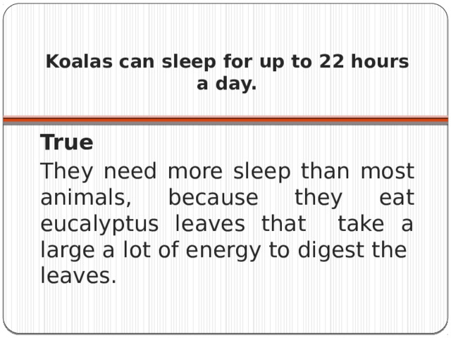 Koalas can sleep for up to 22 hours a day.   True They need more sleep than most animals, because they eat eucalyptus leaves that take a large a lot of energy to digest the leaves. 