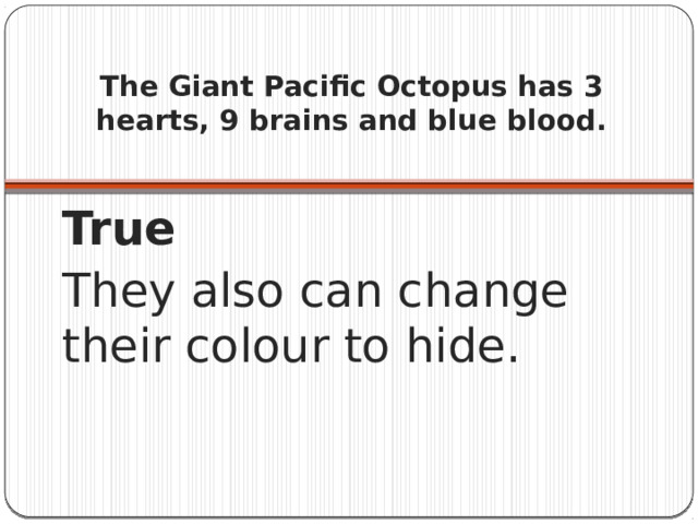 The Giant Pacific Octopus has 3 hearts, 9 brains and blue blood.   True They also can change their colour to hide.  