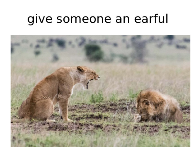 give someone an earful 