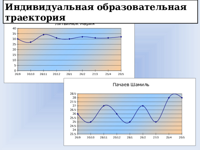 Индивидуальная образовательная траектория 