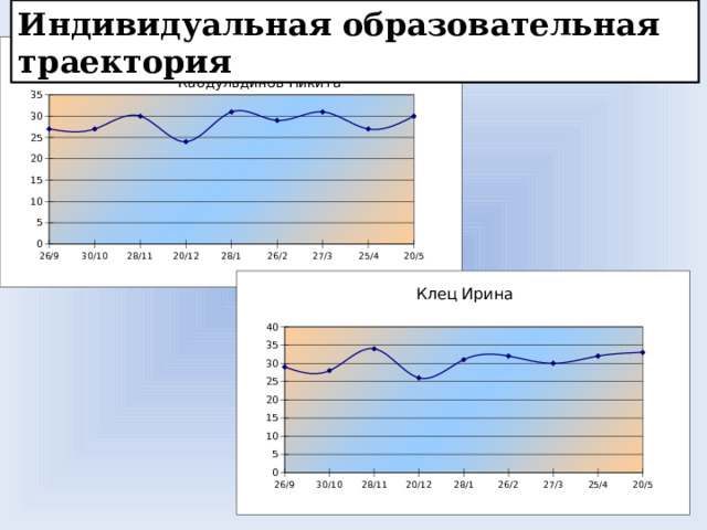 Индивидуальная образовательная траектория 