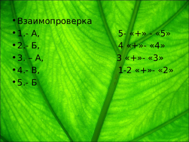Взаимопроверка 1.- А, 5- «+» - «5» 2.- Б, 4 «+»- «4» 3. – А, 3 «+»- «3» 4.- В, 1-2 «+»- «2» 5.- Б 