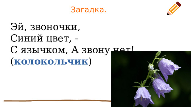 Загадка. Эй, звоночки,  Синий цвет, -  С язычком, А звону нет!  ( колокольчик ) 
