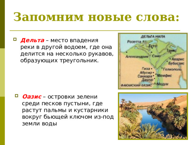 Запомним новые слова: Дельта – место впадения реки в другой водоем, где она делится на несколько рукавов, образующих треугольник. Оазис – островки зелени среди песков пустыни, где растут пальмы и кустарники вокруг бьющей ключом из-под земли воды 