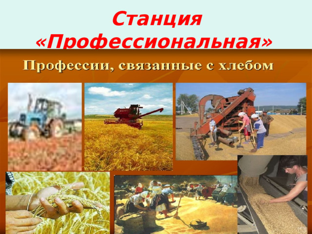 Станция «Профессиональная»  