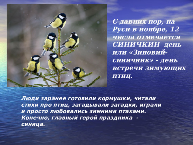 С давних пор, на Руси в ноябре, 12 числа отмечается СИНИЧКИН день или «Зиновий-синичник» - день встречи зимующих птиц. Люди заранее готовили кормушки, читали стихи про птиц, загадывали загадки, играли и просто любовались зимними птахами. Конечно, главный герой праздника - синица. 