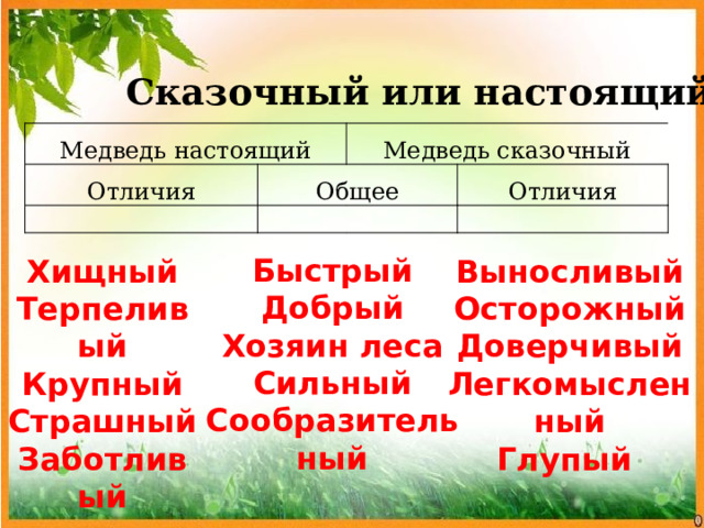 Сказочный или настоящий? Медведь настоящий Отличия Общее Медведь сказочный Отличия Быстрый Добрый Хозяин леса Сильный Сообразительный Хищный Выносливый Терпеливый Осторожный Доверчивый Крупный Легкомысленный Страшный Заботливый Глупый 