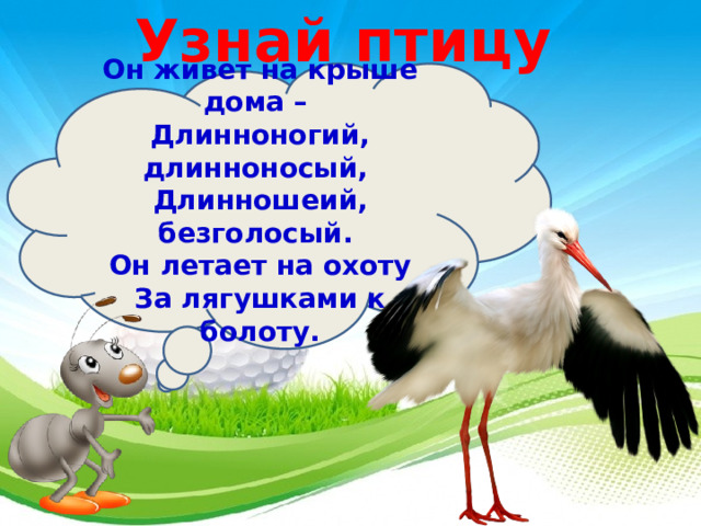 Узнай птицу Он живет на крыше дома –   Длинноногий, длинноносый,   Длинношеий, безголосый.   Он летает на охоту  За лягушками к болоту. 3 