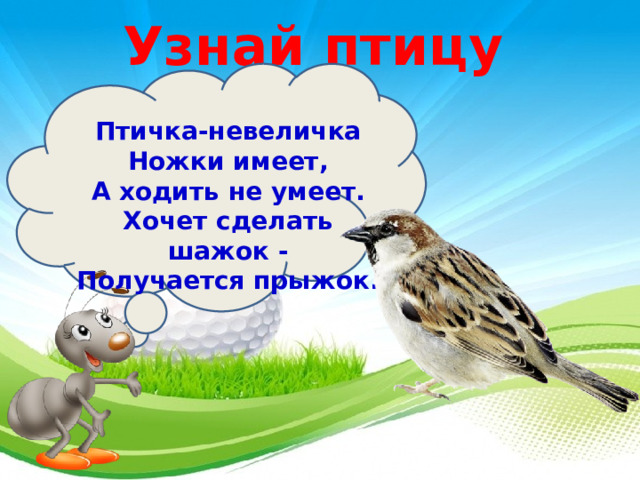 Узнай птицу  Птичка-невеличка  Ножки имеет,  А ходить не умеет.  Хочет сделать шажок -  Получается прыжок. 3 