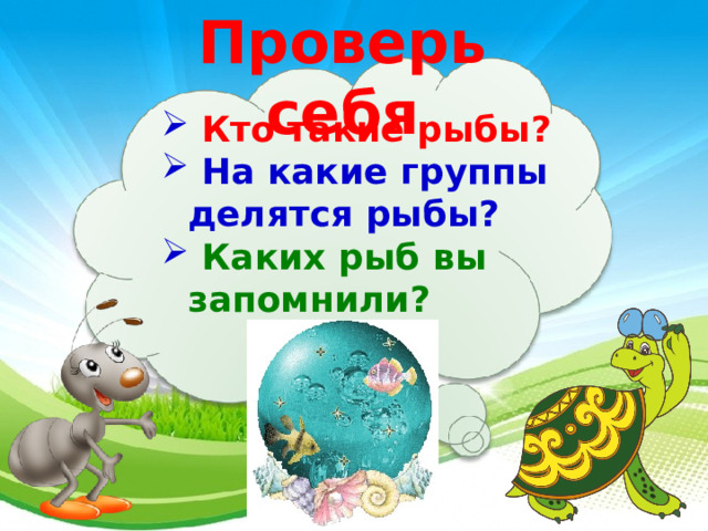 Проверь себя   Кто такие рыбы?  На какие группы делятся рыбы?  Каких рыб вы запомнили?   3 