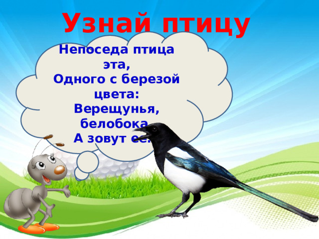 Узнай птицу Непоседа птица эта,  Одного с березой цвета:  Верещунья, белобока,  А зовут ее… 3 