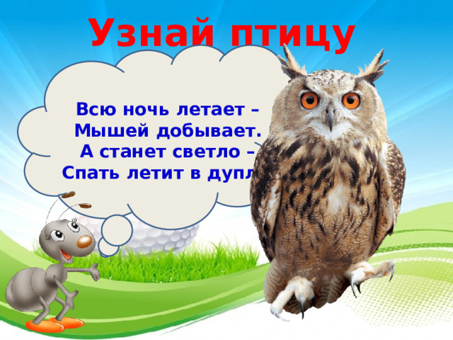 Узнай птицу  Всю ночь летает –  Мышей добывает.  А станет светло –  Спать летит в дупло . 3 