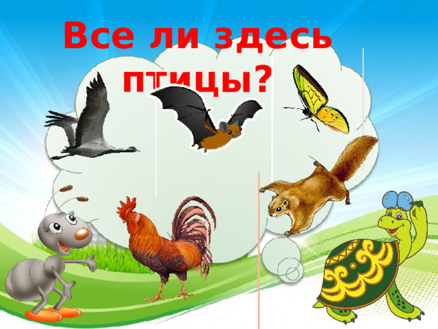 Все ли здесь птицы? 3 