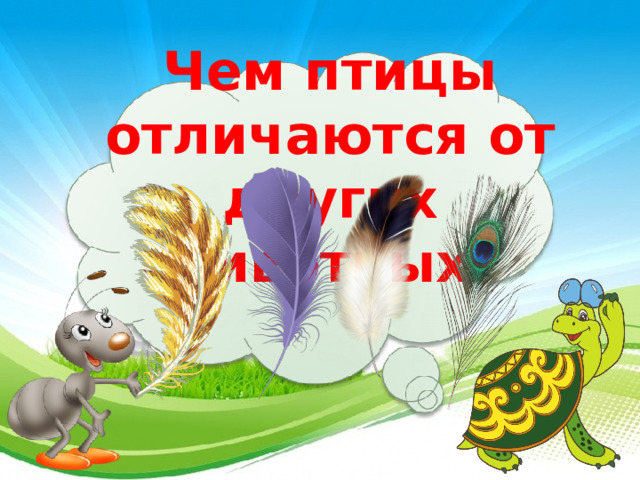 Чем птицы отличаются от других животных? 3 