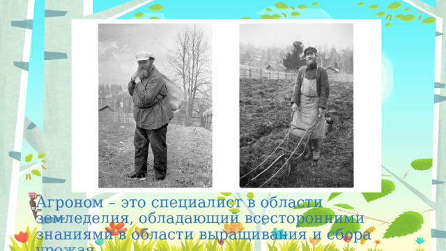 Агроном – это специалист в области земледелия, обладающий всесторонними знаниями в области выращивания и сбора урожая 