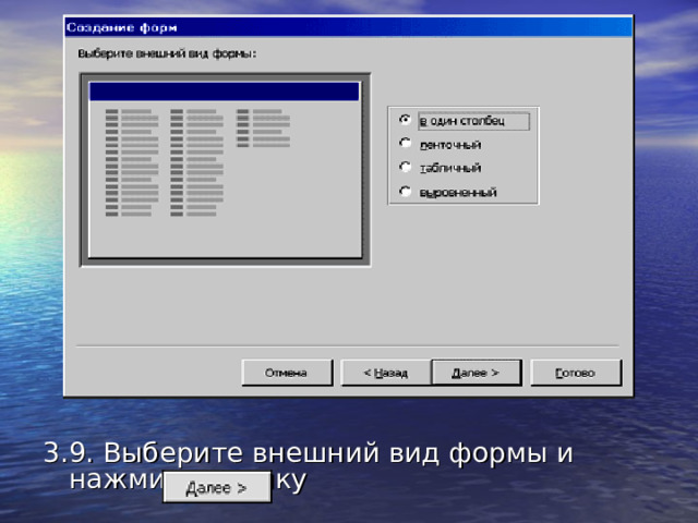 3.9. Выберите внешний вид формы и нажмите кнопку 