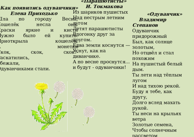  «Парашютисты»  И. Токмакова Из шариков пушистых  Над пестрым летним лугом  Летят парашютисты  Вдогонку друг за другом.  Едва земли коснутся —  Уснут, как на диванчике.  А по весне проснутся...  и будут - одуванчики!  «Как появились одуванчики»  Елена Приходько   Шла по городу Весна,  Кошелёк несла она.  Краски яркие и кисти  Нужно было ей купить.  Приоткрыла кошелёк,  А монетки  Скок, скок, скок!-  Раскатились,  убежали,  Одуванчиками стали.   «Одуванчик»  Владимир Степанов Одуванчик придорожный  Был, как солнце золотым,  Но отцвёл и стал похожим  На пушистый белый дым. Ты лети над тёплым лугом  И над тихою рекой.  Буду я тебе, как другу,  Долго вслед махать рукой. Ты неси на крыльях ветра  Золотые семена,  Чтобы солнечным рассветом  Возвратилась к нам весна.  