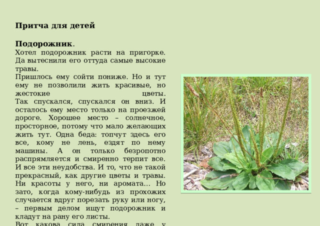 Притча для детей  Подорожник .  Хотел подорожник расти на пригорке. Да вытеснили его оттуда самые высокие травы.  Пришлось ему сойти пониже. Но и тут ему не позволили жить красивые, но жестокие цветы.  Так спускался, спускался он вниз. И осталось ему место только на проезжей дороге. Хорошее место – солнечное, просторное, потому что мало желающих жить тут. Одна беда: топчут здесь его все, кому не лень, ездят по нему машины. А он только безропотно распрямляется и смиренно терпит все. И все эти неудобства. И то, что не такой прекрасный, как другие цветы и травы. Ни красоты у него, ни аромата… Но зато, когда кому-нибудь из прохожих случается вдруг порезать руку или ногу, – первым делом ищут подорожник и кладут на рану его листы. Вот какова сила смирения даже у простых трав! 
