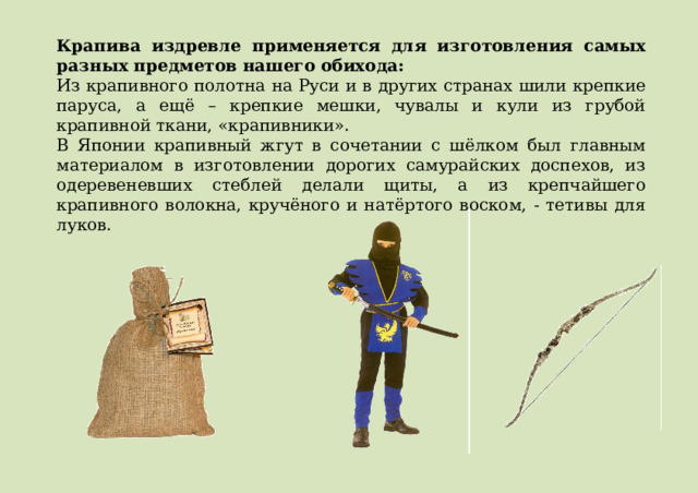 Крапива издревле применяется для изготовления самых разных предметов нашего обихода: Из крапивного полотна на Руси и в других странах шили крепкие паруса, а ещё – крепкие мешки, чувалы и кули из грубой крапивной ткани, «крапивники». В Японии крапивный жгут в сочетании с шёлком был главным материалом в изготовлении дорогих самурайских доспехов, из одеревеневших стеблей делали щиты, а из крепчайшего крапивного волокна, кручёного и натёртого воском, - тетивы для луков. 