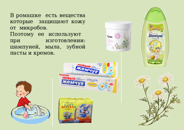 В ромашке есть вещества которые защищают кожу от микробов. Поэтому ее используют при изготовлении: шампуней, мыла, зубной пасты и кремов.  