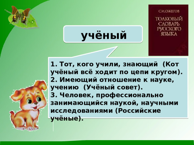 учёный 1. Тот, кого учили, знающий (Кот учёный всё ходит по цепи кругом). 2. Имеющий отношение к науке, учению  (Учёный совет). 3. Человек, профессионально занимающийся наукой, научными исследованиями (Российские учёные).  Знаешь ли ты, кого называют учеными? Проверь себя по толковому словарю. 
