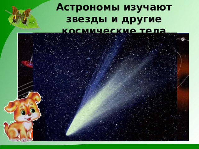 Астрономы изучают звезды и другие космические тела 