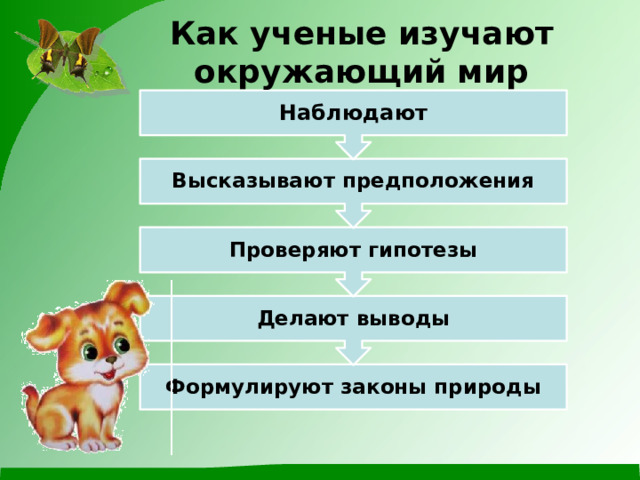 Делают выводы Проверяют гипотезы Высказывают предположения Наблюдают Как ученые изучают окружающий мир Формулируют законы природы 