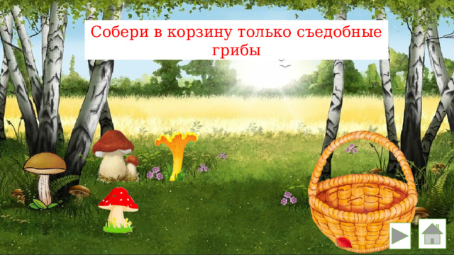 Собери в корзину только съедобные грибы 