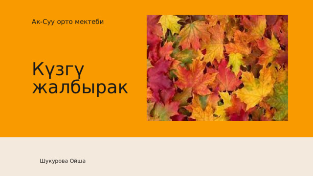 Ак-Суу орто мектеби Күзгү жалбырак Шукурова Ойша 