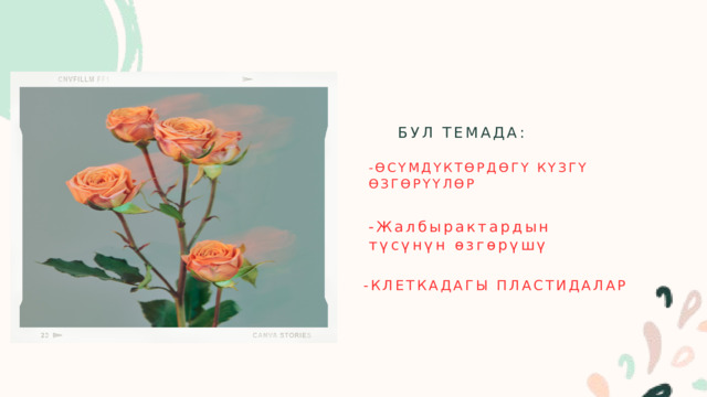БУЛ ТЕМАДА: -ӨСҮМДҮКТӨРДӨГҮ КҮЗГҮ ӨЗГӨРҮҮЛӨР -Жалбырактардын түсүнүн өзгөрүшү -КЛЕТКАДАГЫ ПЛАСТИДАЛАР 