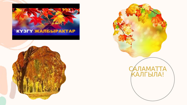 САЛАМАТТА КАЛГЫЛА! 