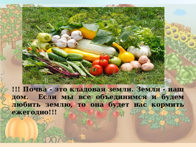 !!! Почва - это кладовая земли. Земля - наш дом. Если мы все объединимся и будем любить землю, то она будет нас кормить ежегодно!!! 