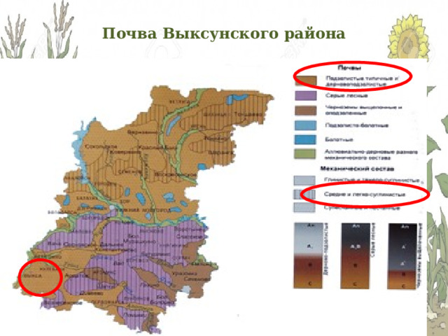 Почва Выксунского района 